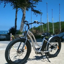 Lady 26*4.0 Fat Tire Electric Bike with Ce